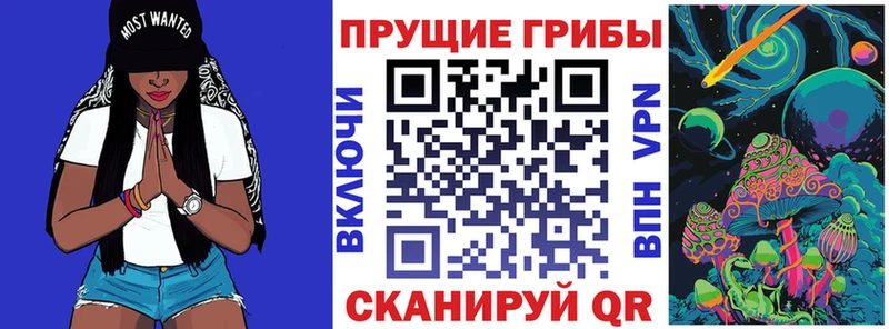 МЕГА зеркало  наркота  Елизаветинская  Псилоцибиновые грибы ЛСД 